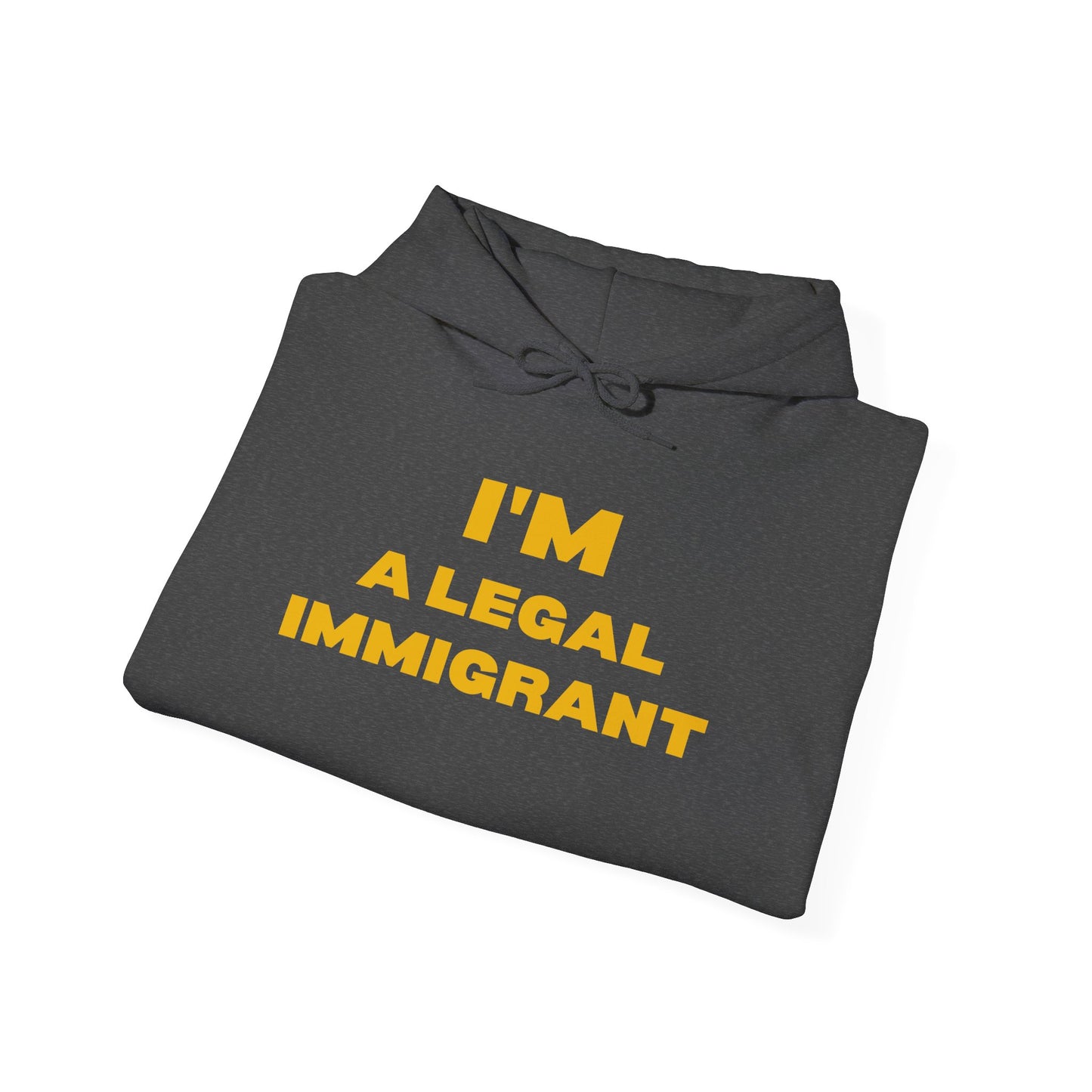 Immigrant Pride Hoodie